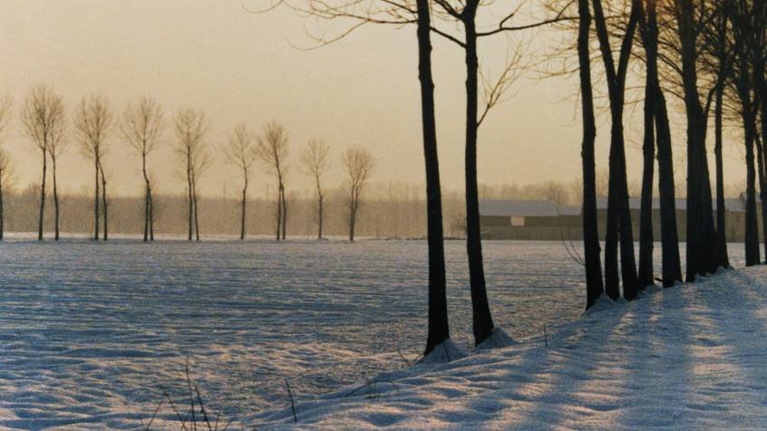Campagna pavese in inverno. (CHL A_11_10_001)