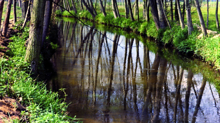 Campagna pavese (3). (CHL A_11_10_002)