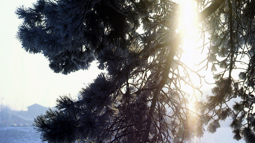 Il Ticino in inverno (2). (CHL A_11_14_003)
