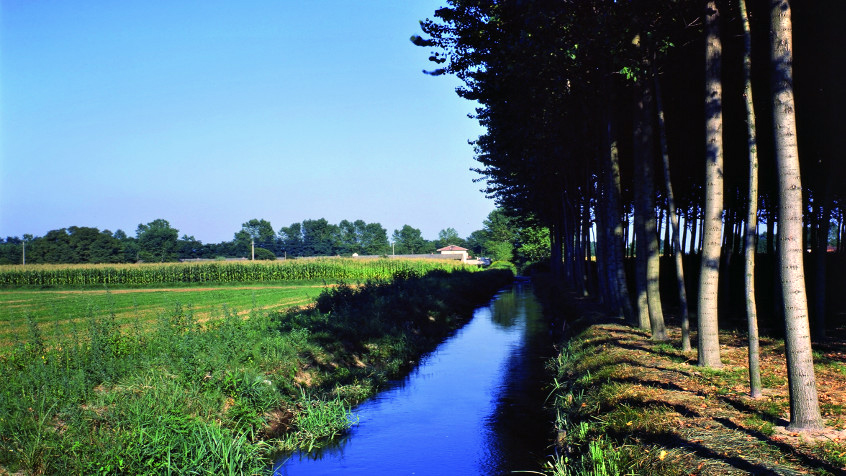 Campagna pavese (2). (CHL A_11_14_104)
