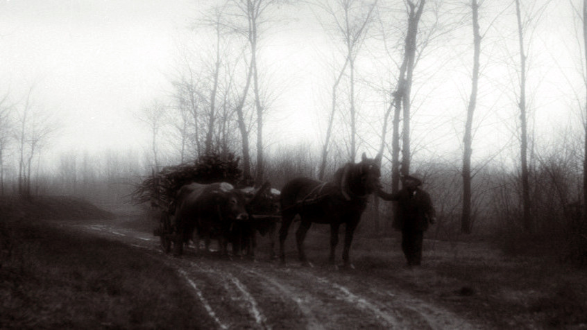 Campagna pavese, anni Quaranta. (CHL A_25_14_5)