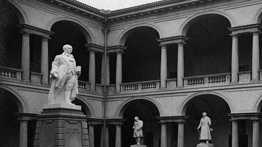 Palazzo centrale, cortile delle statue, (o Portico teologico), ante 1947 (CHL A_42_26_001)