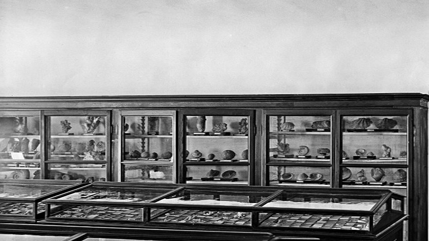 Palazzo centrale, ala ovest, museo di Mineralogia e Geologia, ante 1941 (CHL A_42_27_003)