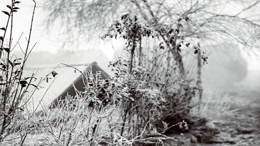 Paesaggio invernale con brina. (CHL B_64_10_007)