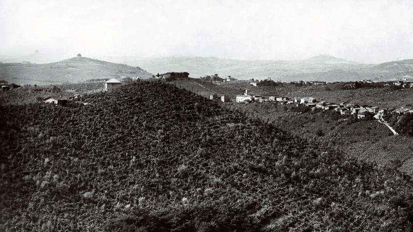 Sulle colline dell'Oltrepò pavese (5). (CHL C_26_3_002)
