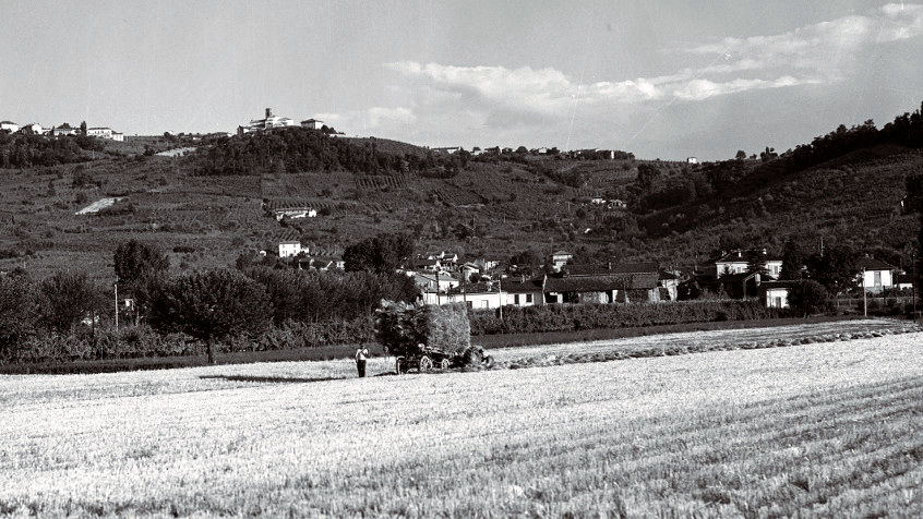 Veduta della campagna pavese (2). (CHL C_26_4_002)