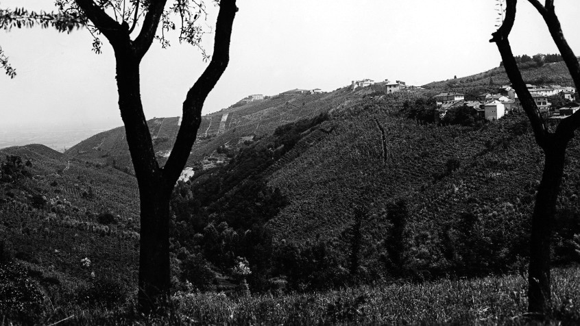 Sulle colline dell'Oltrepò pavese (4). (CHL C_26_6_001)