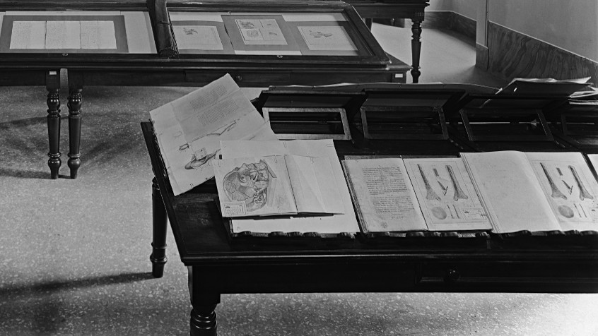 Palazzo Botta Adorno, museo Anatomico Unito, sala Antonio Scarpa, piano nobile, post 1932 (CHL E_27_15_002)