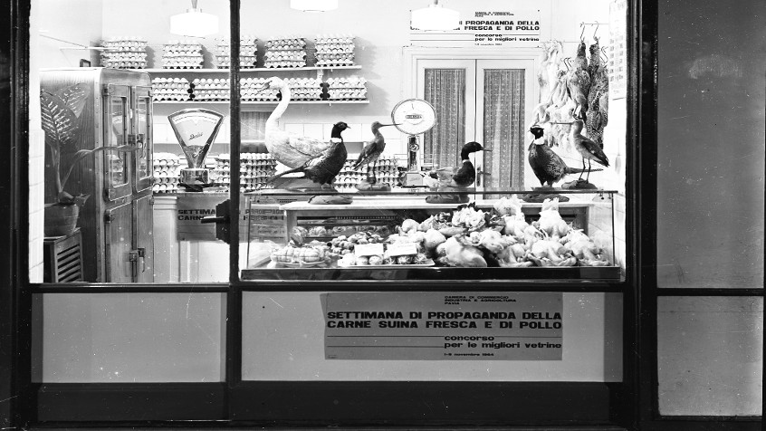 Pavia, corso Garibaldi 2, polleria fratelli Fossati, 1964 (CHL M_2_18_001)