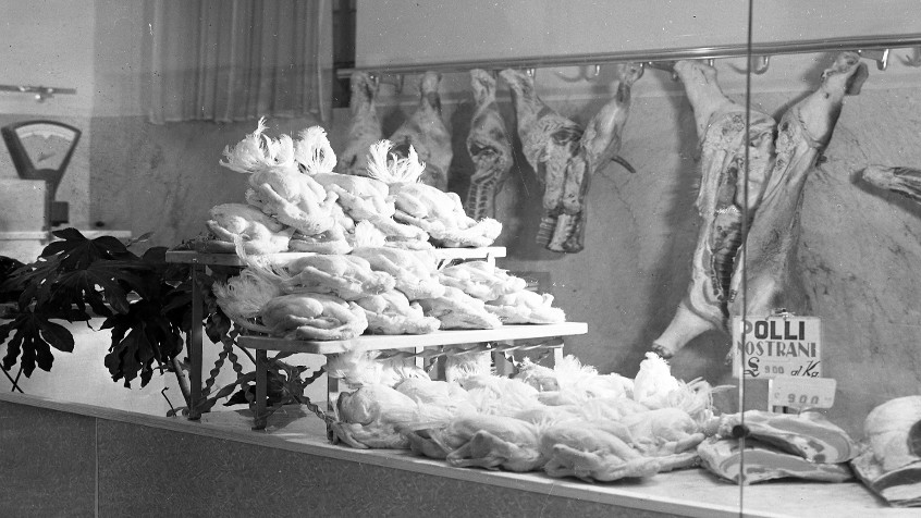 Pavia, via Beccaria 6, macelleria D. Bertè, 1959 (CHL M_2_7_002)