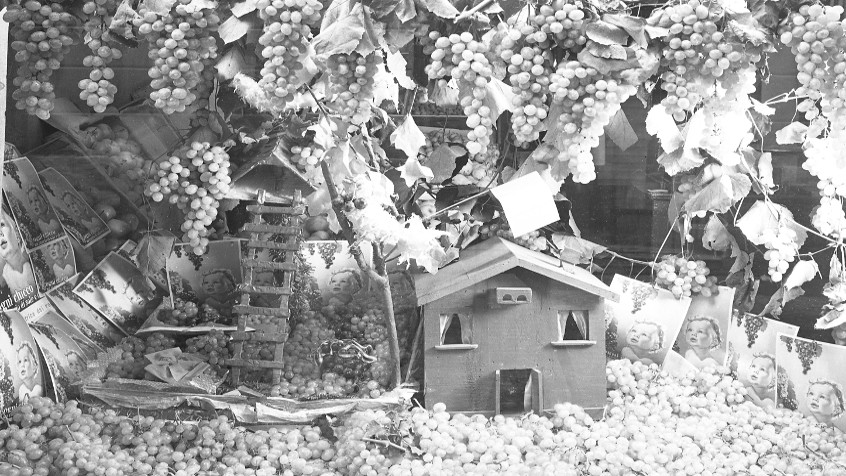 Negozio di fruttivendolo, 1952 (CHL M_47_27_002)