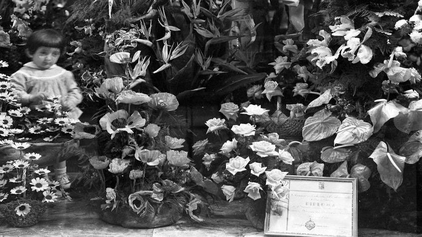 Pavia, via Calatafimi 7, fiorista Borroni cav. Francesco, 1959 (CHL M_53_20_001)