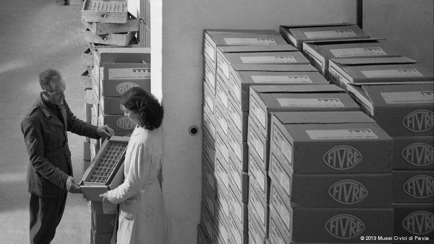 Pavia, Società Fivre, 1951: reparto imballo e spedizione. (CHL M_6_34_01)